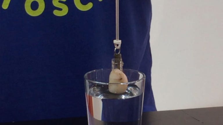 Experiment: Auftrieb im Wasser