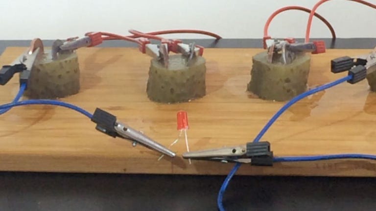 Experiment: Gurken-Batterie